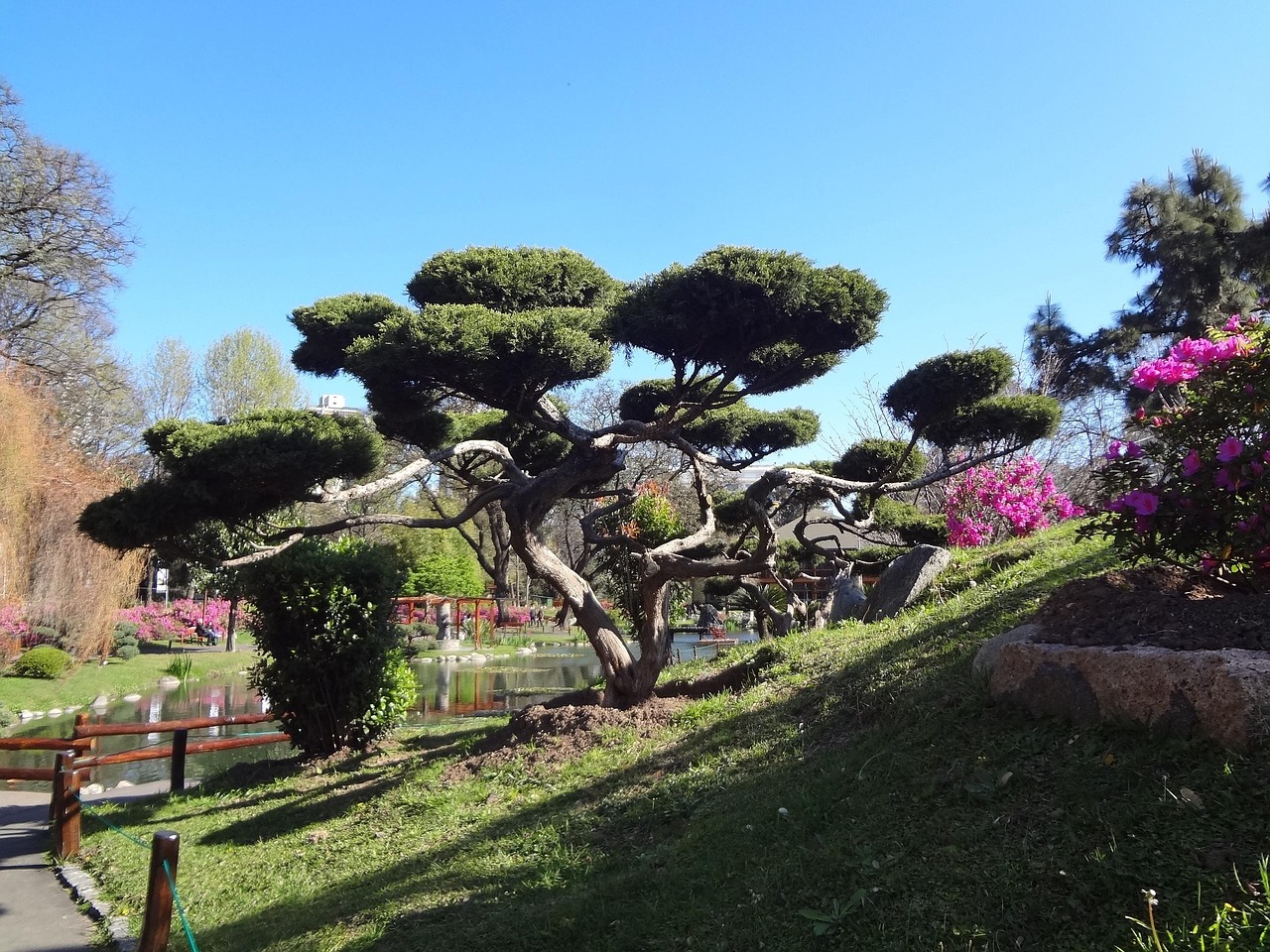 Japanese Garden Buenos Aires