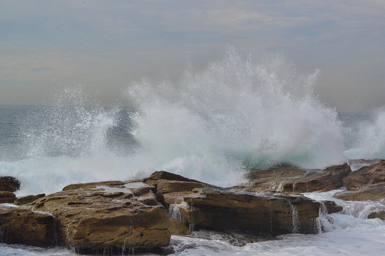 Coogee Beach and coastal walk