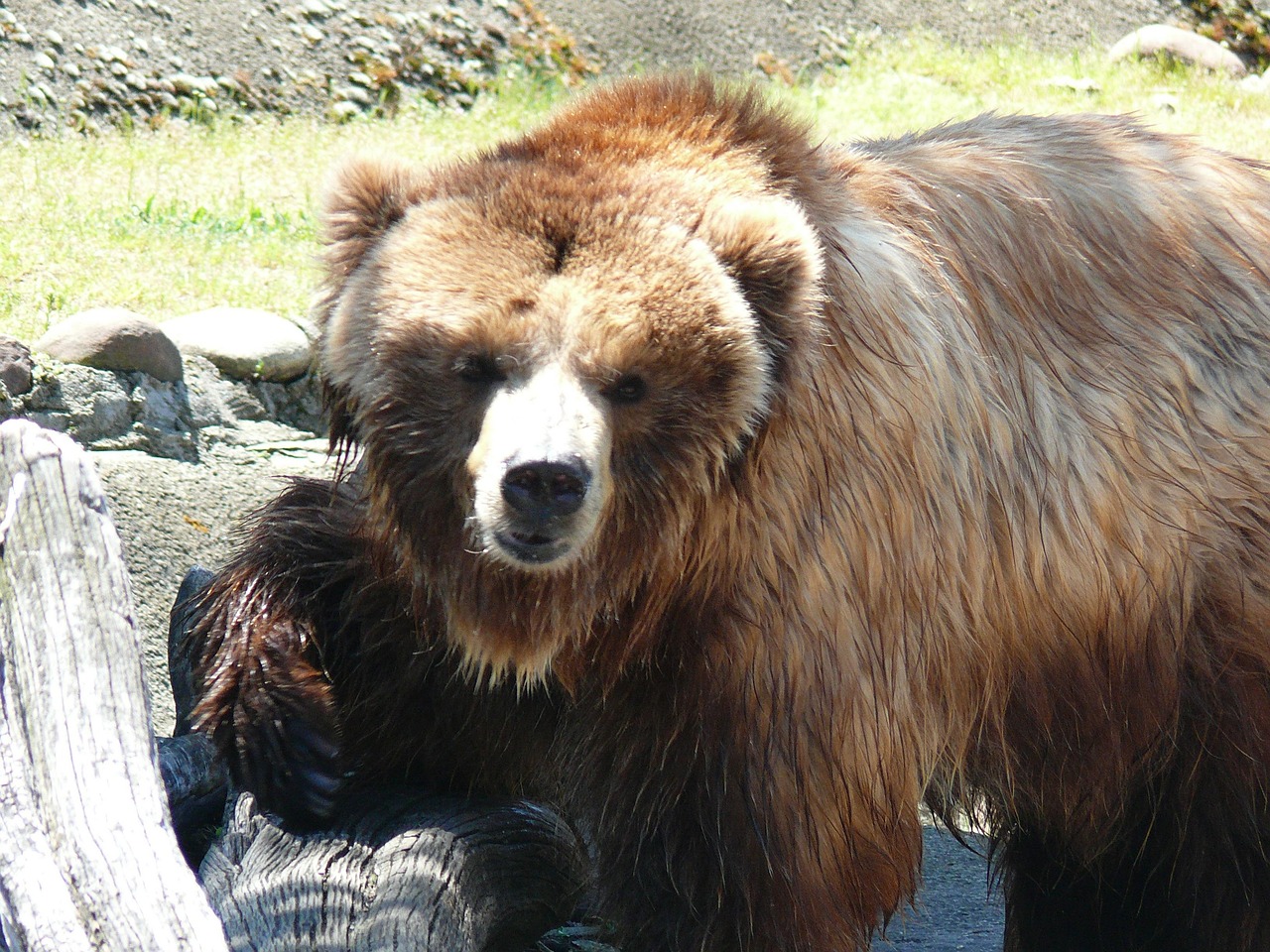 Sofia Zoo
