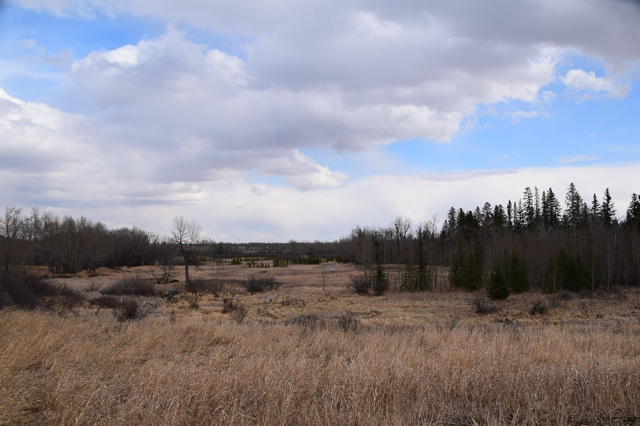 Fish Creek Provincial Park in Calgary