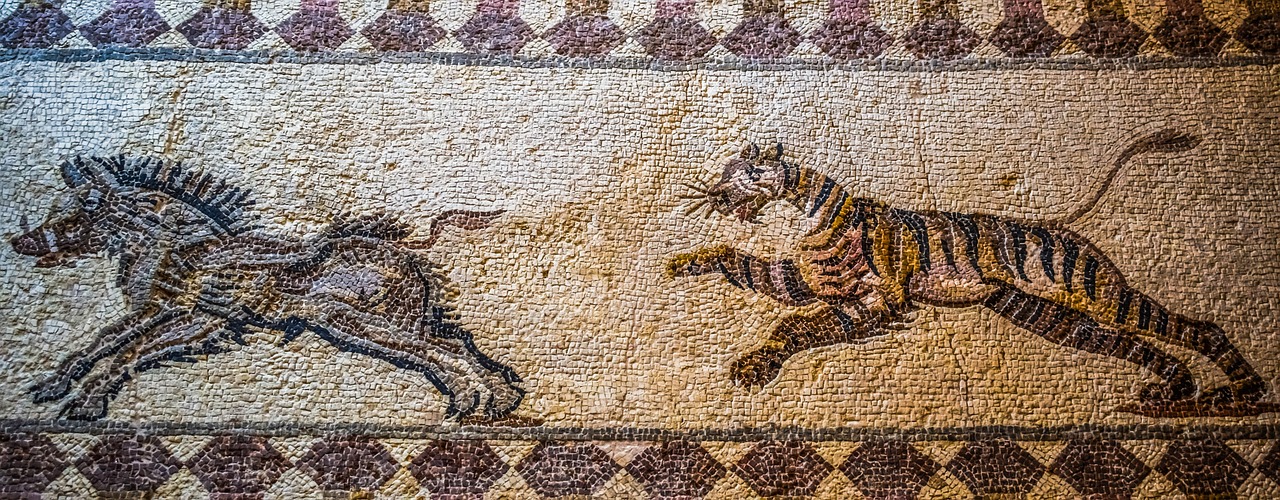 Close-up of Paphos mosaics
