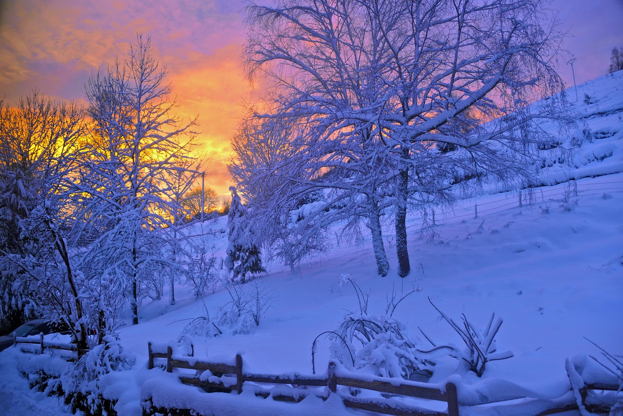 Vosges Mountains in Alsace