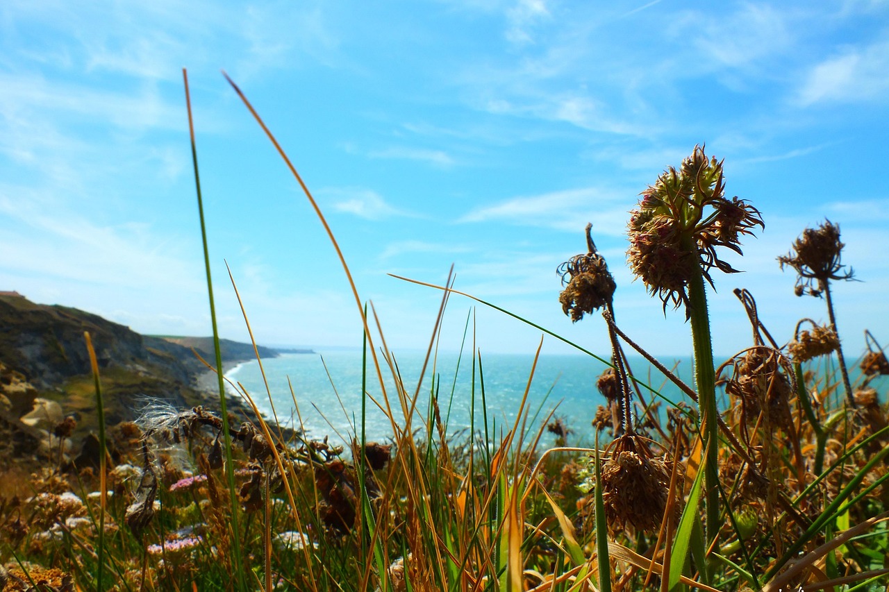 Cap Gris-Nez near Calais
