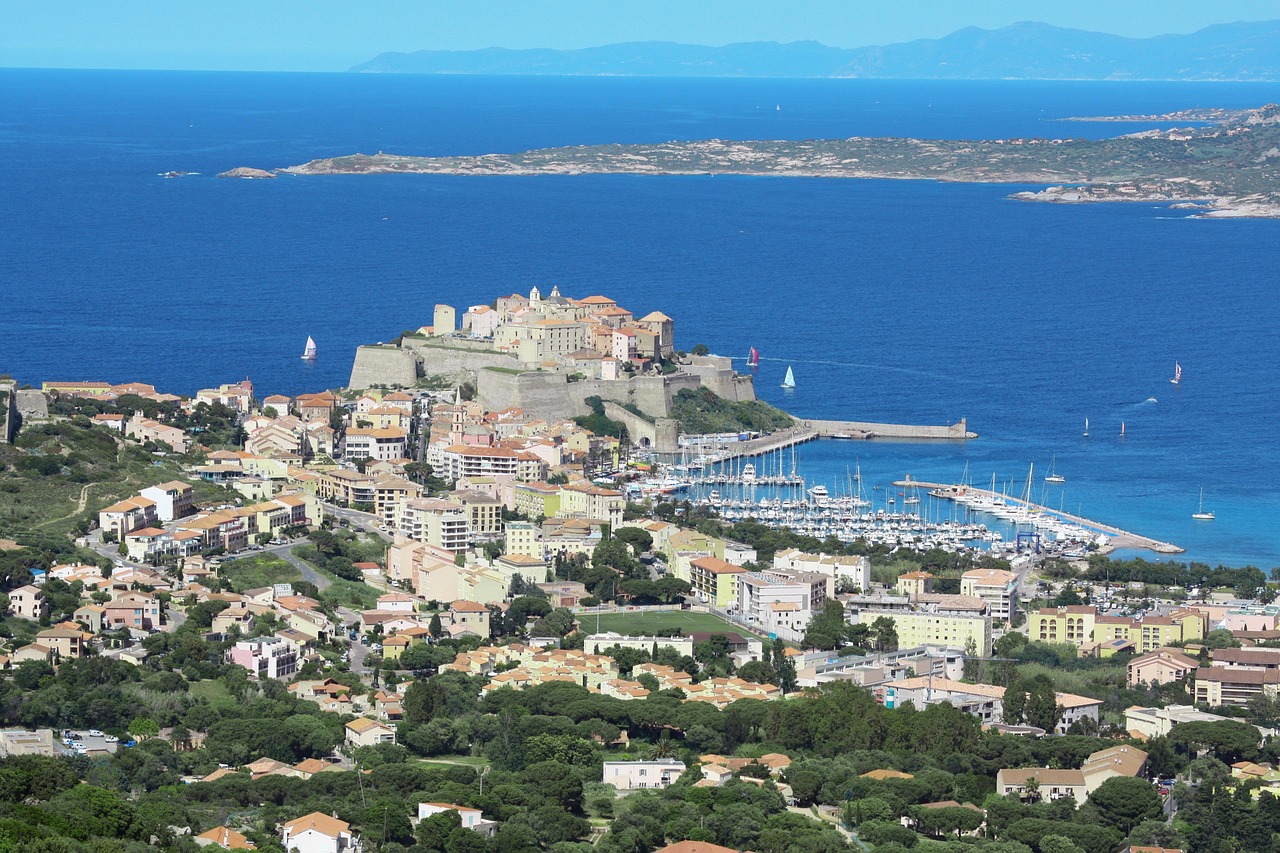 Calvi beach and pine forest