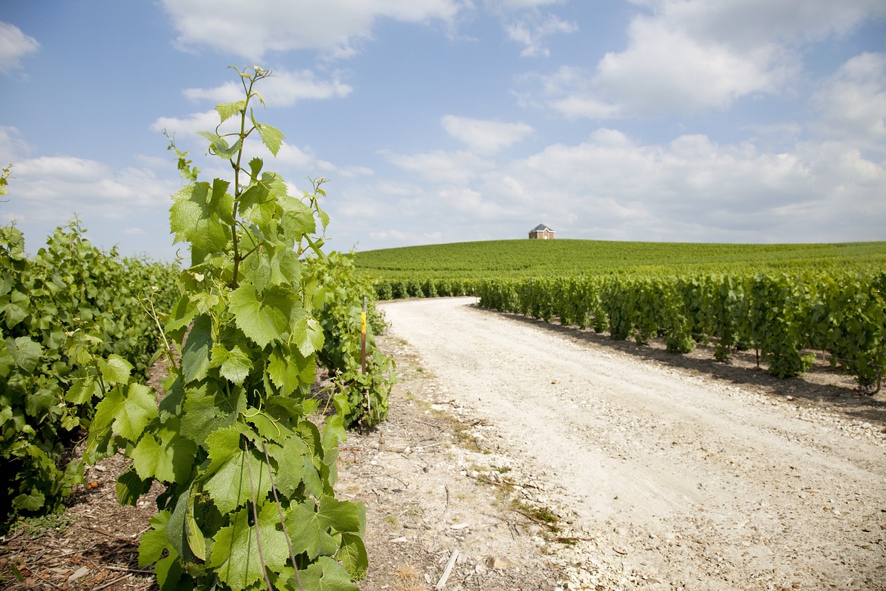 Épernay