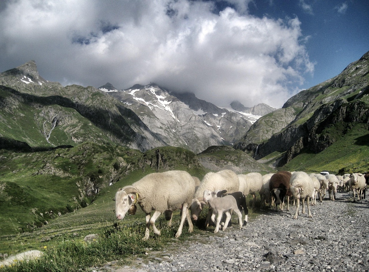 GR10 Trail
