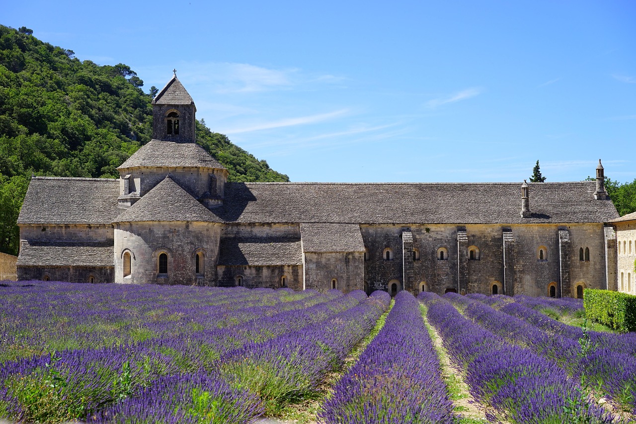 Lavender fields near Gordes with Luberon hills