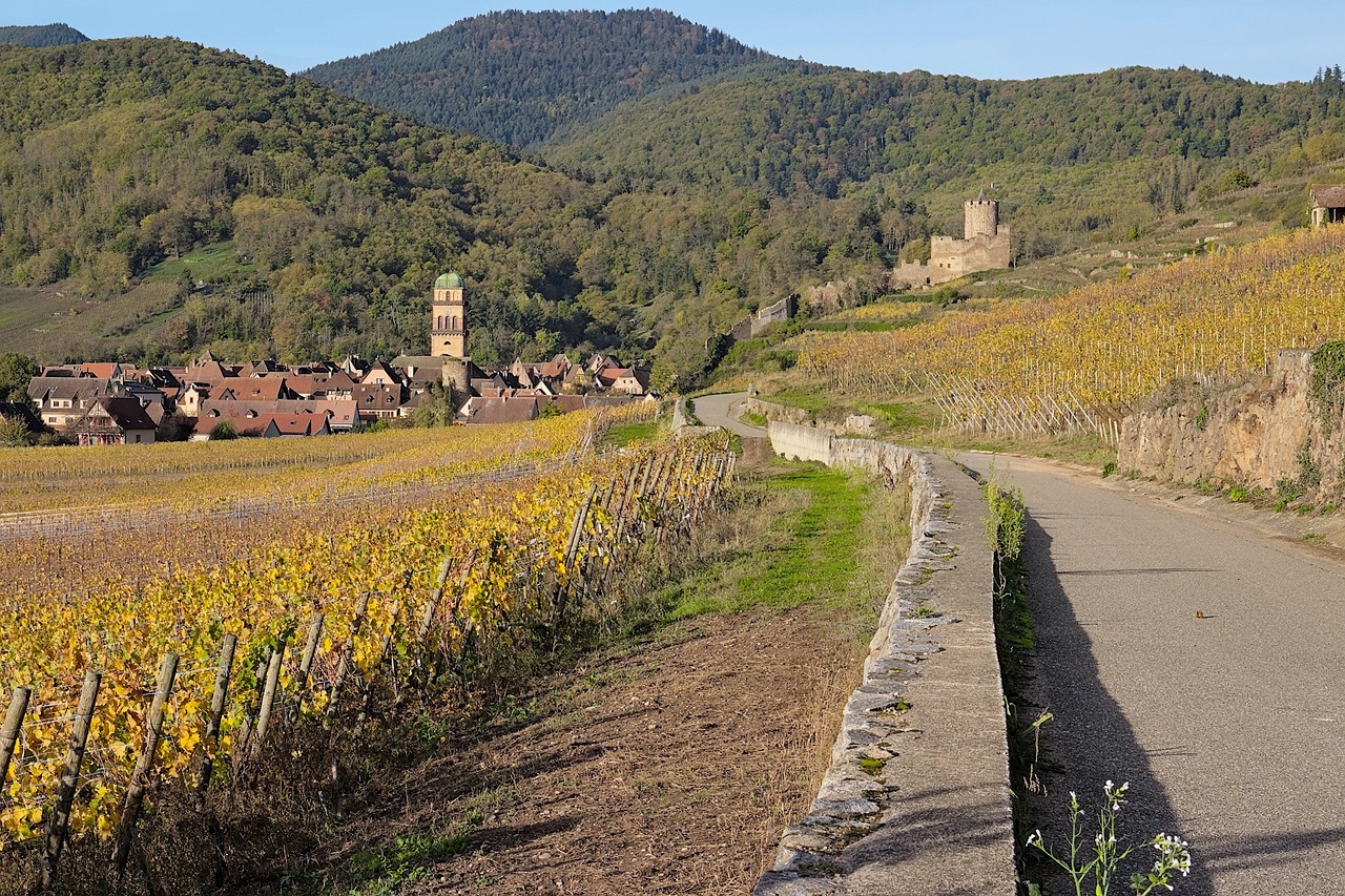Vineyards near Kaysersberg on the Alsace Wine Route