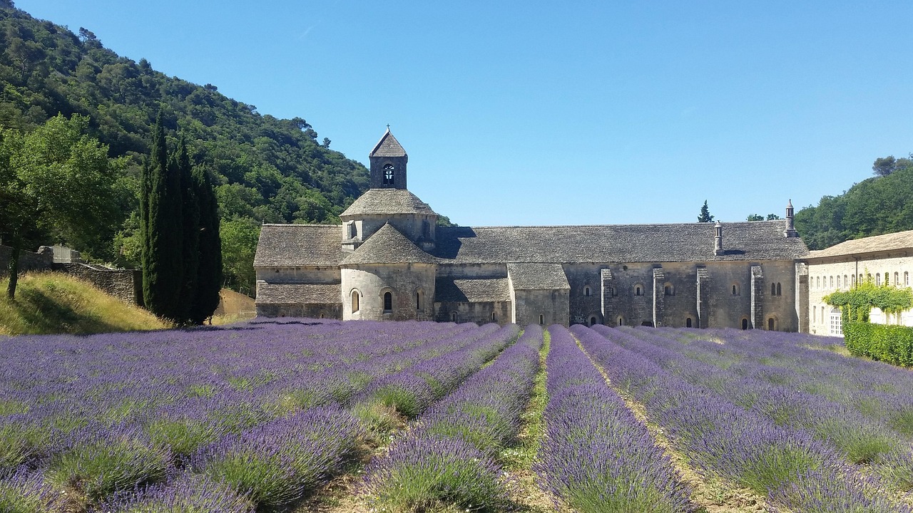 Abbaye de Sénanque surrounded by lavender fields