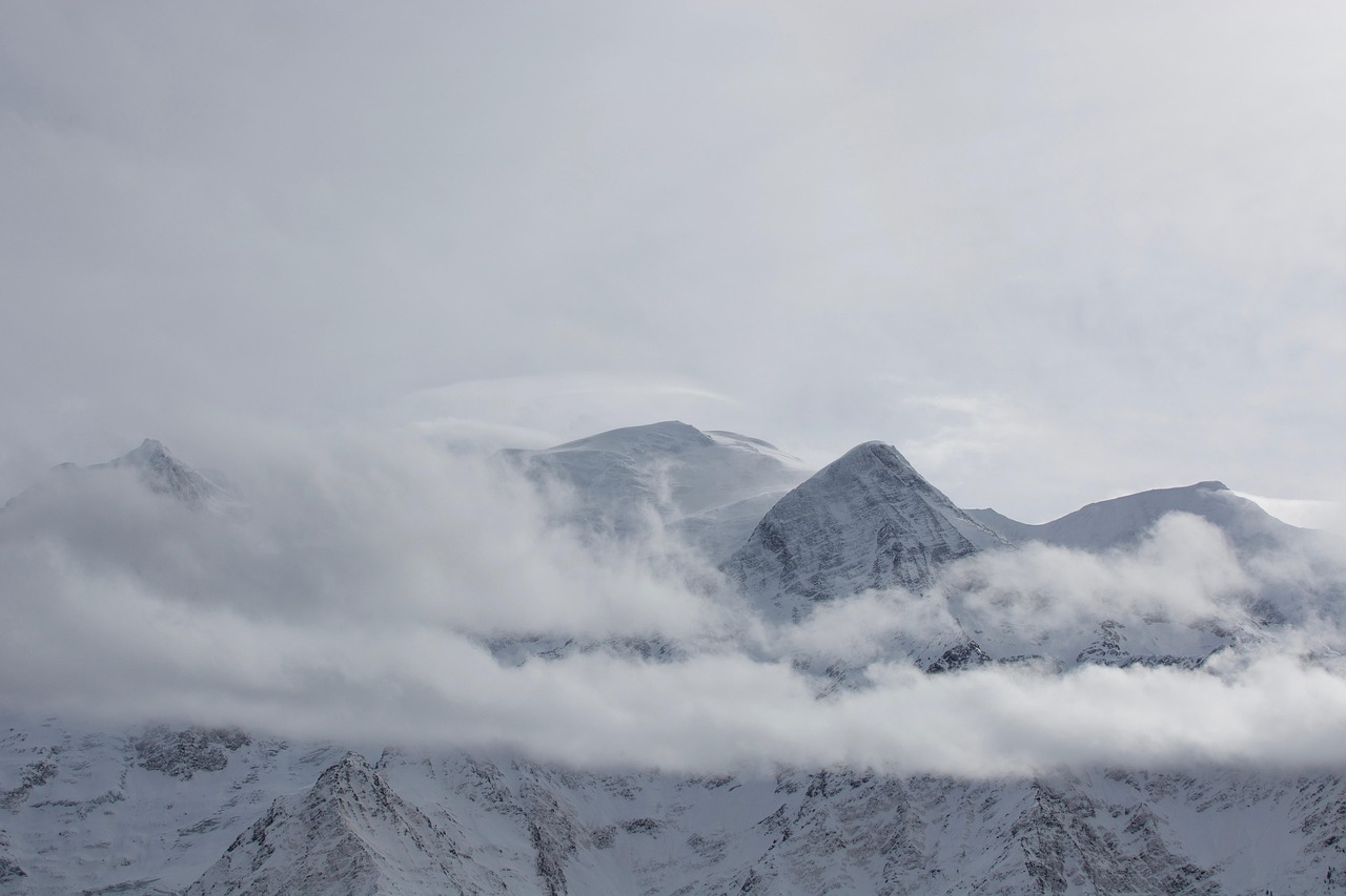 Panoramic view over the Mont Blanc massif from a high viewpoint