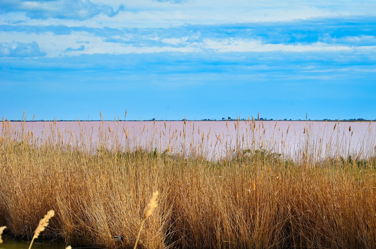 Salin de Giraud Salt Flats