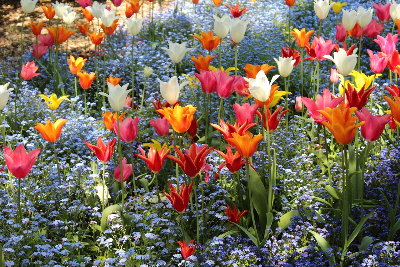 Augsburg Botanical Garden