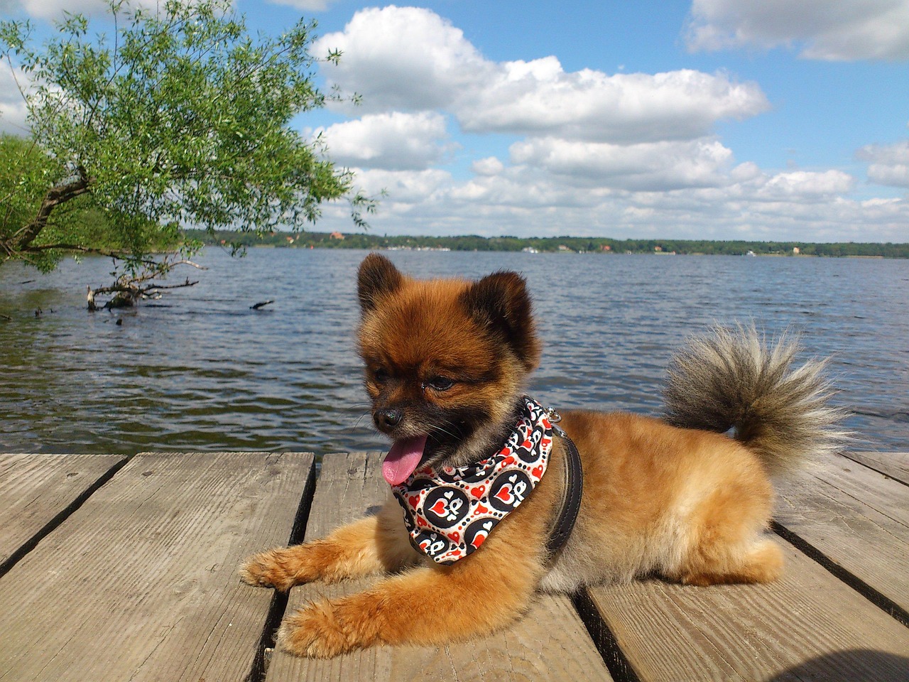 Wannsee lake near Berlin