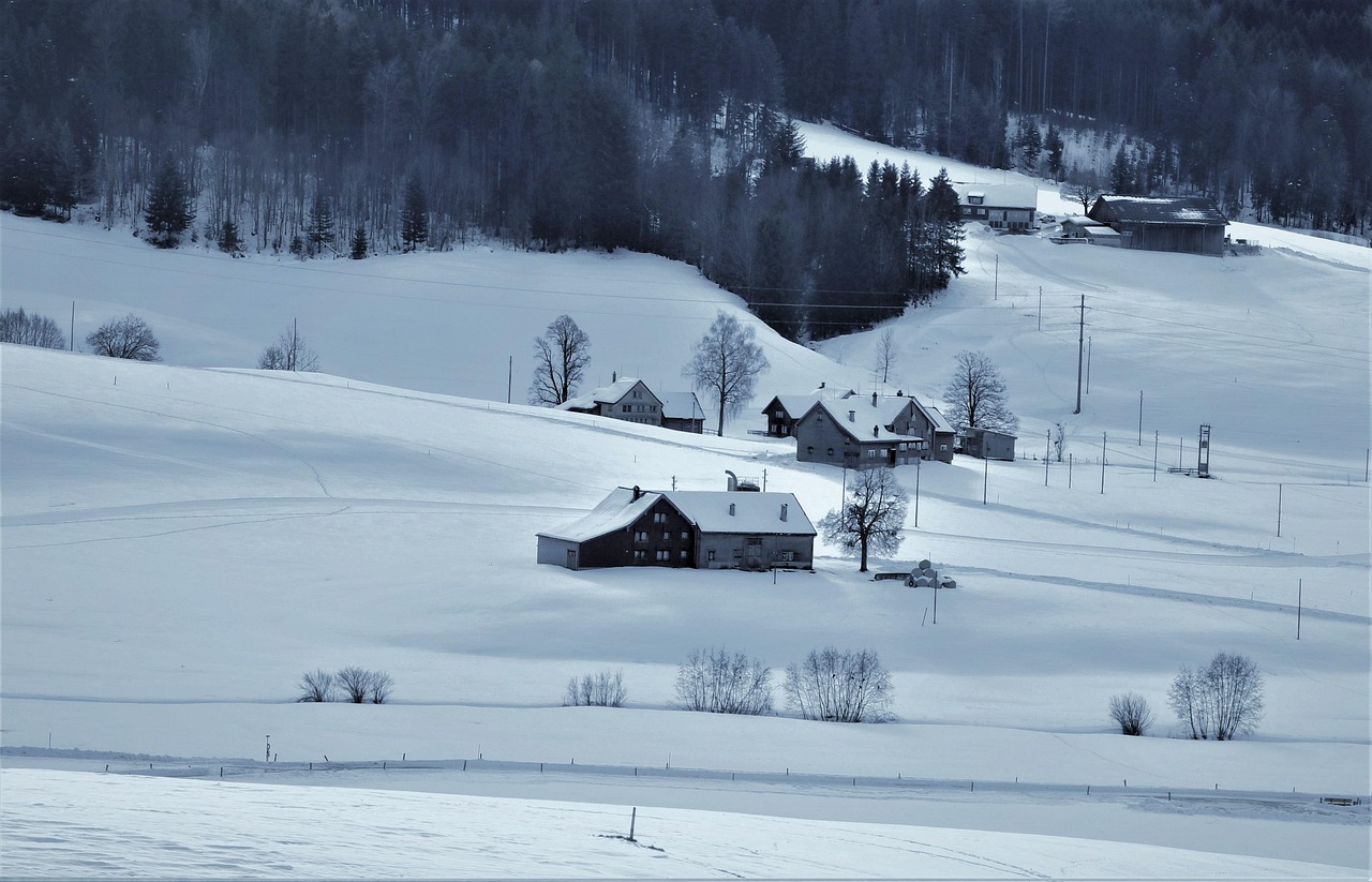 Sunset over Black Forest village