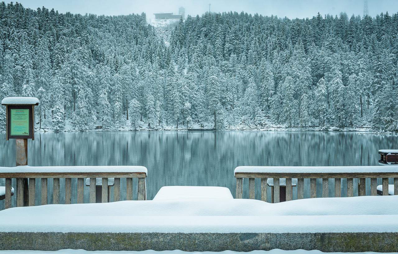 Mummelsee lake in the Black Forest