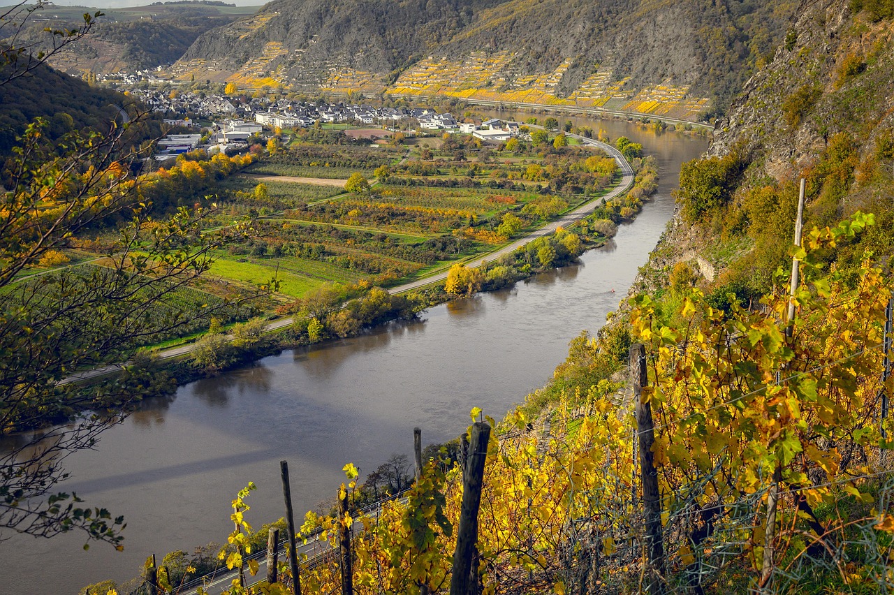 Moselle Wine Route