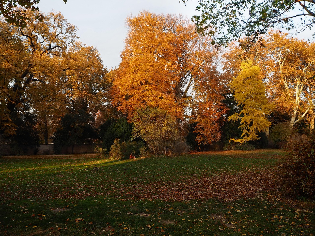 Potsdam architecture and park in different seasons