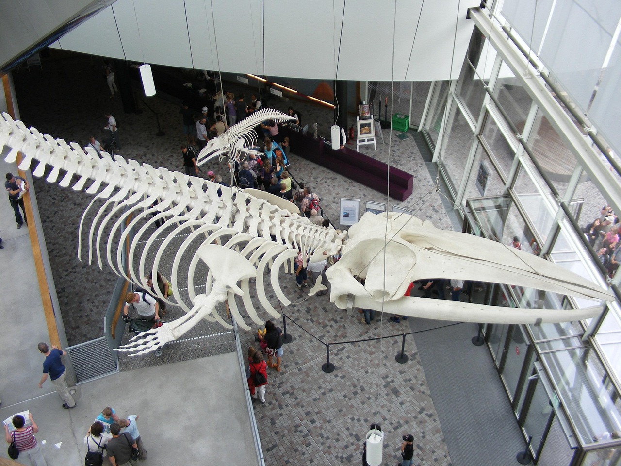 OZEANEUM Stralsund museum on the harbor