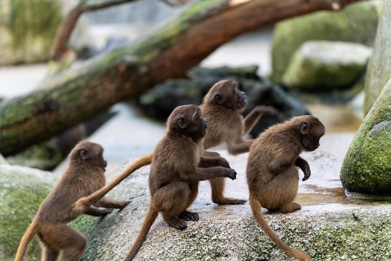 Wilhelma Zoo and Botanical Garden in Stuttgart