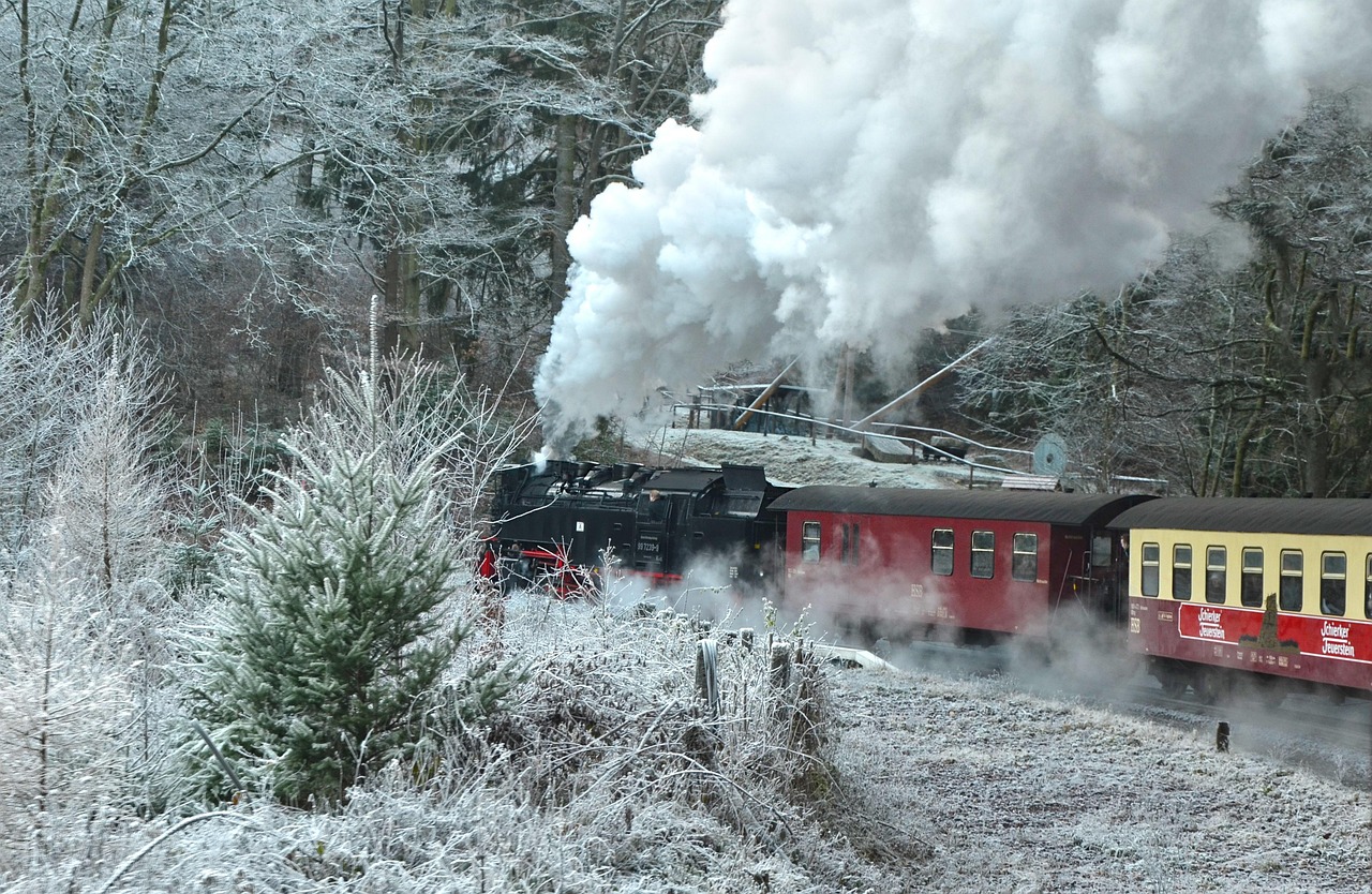 Steam train to Brocken in the Harz Mountains