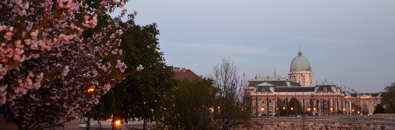 Panoramic view of Buda Castle and Danube River in Budapest