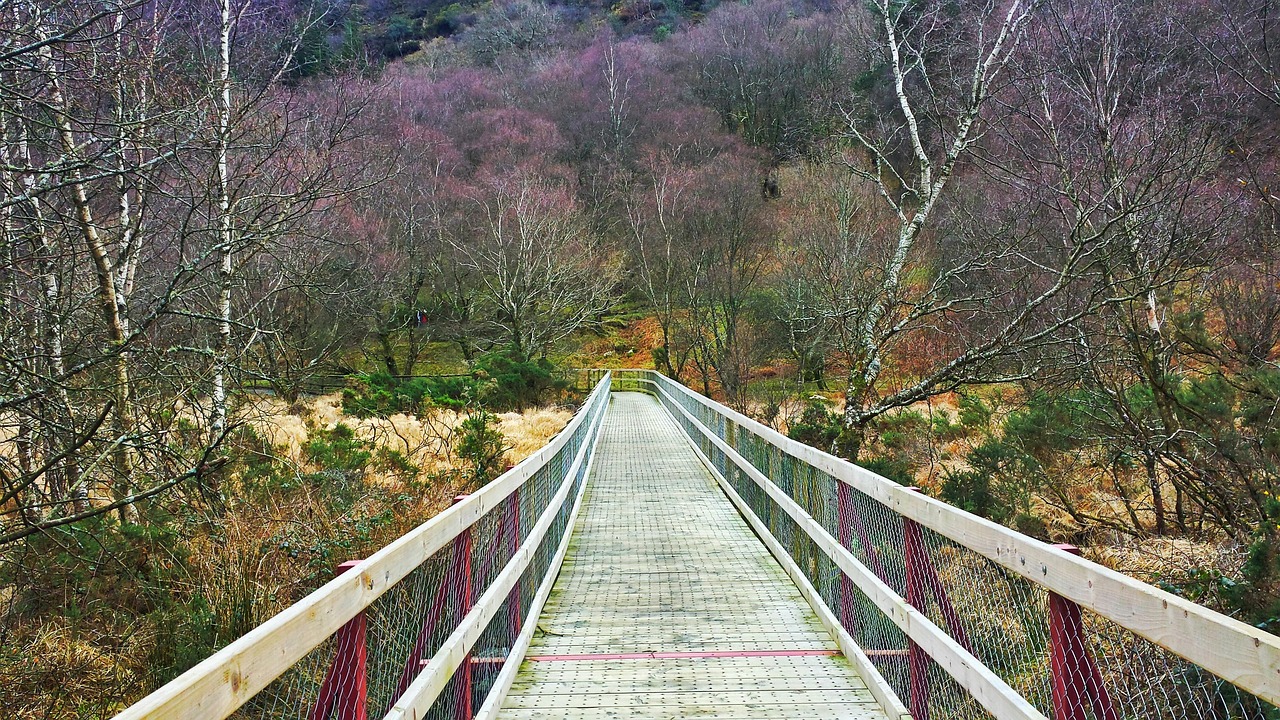 Wicklow Mountains day trip from Dublin