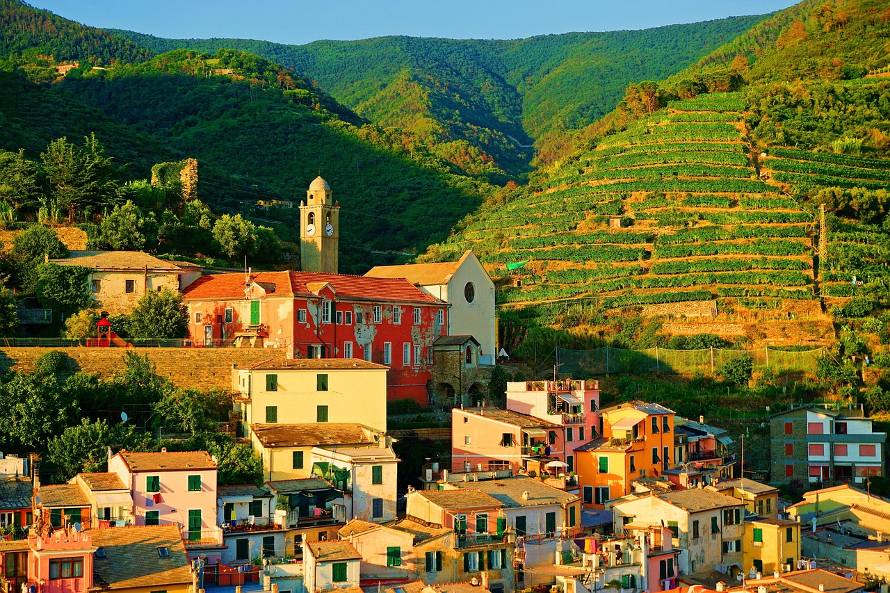Terraced vineyards above Vernazza
