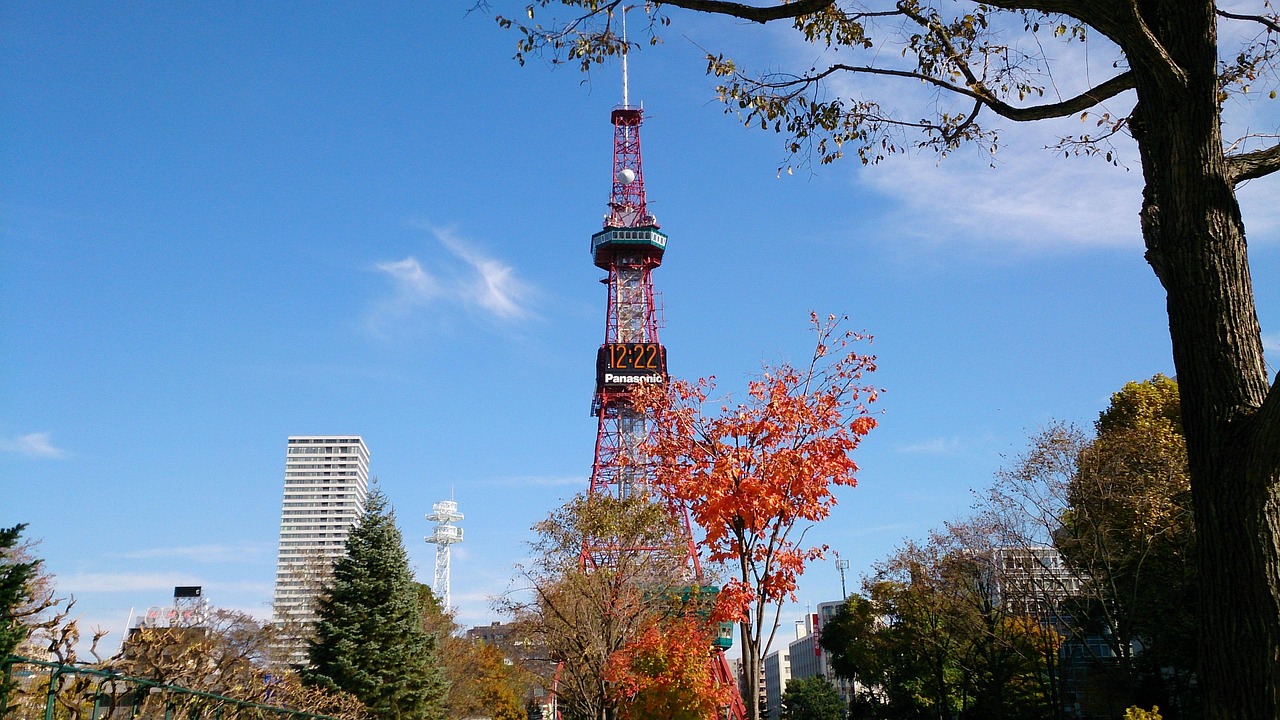 Sapporo TV Tower and city skyline