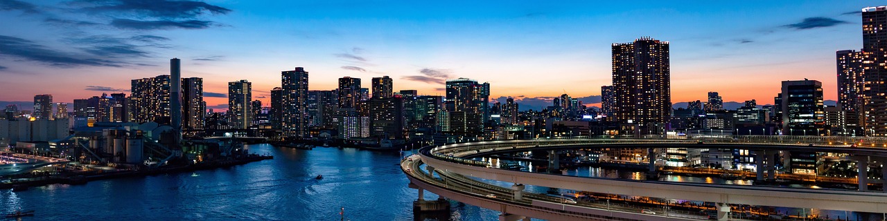 Rainbow Bridge and Tokyo Bay at night