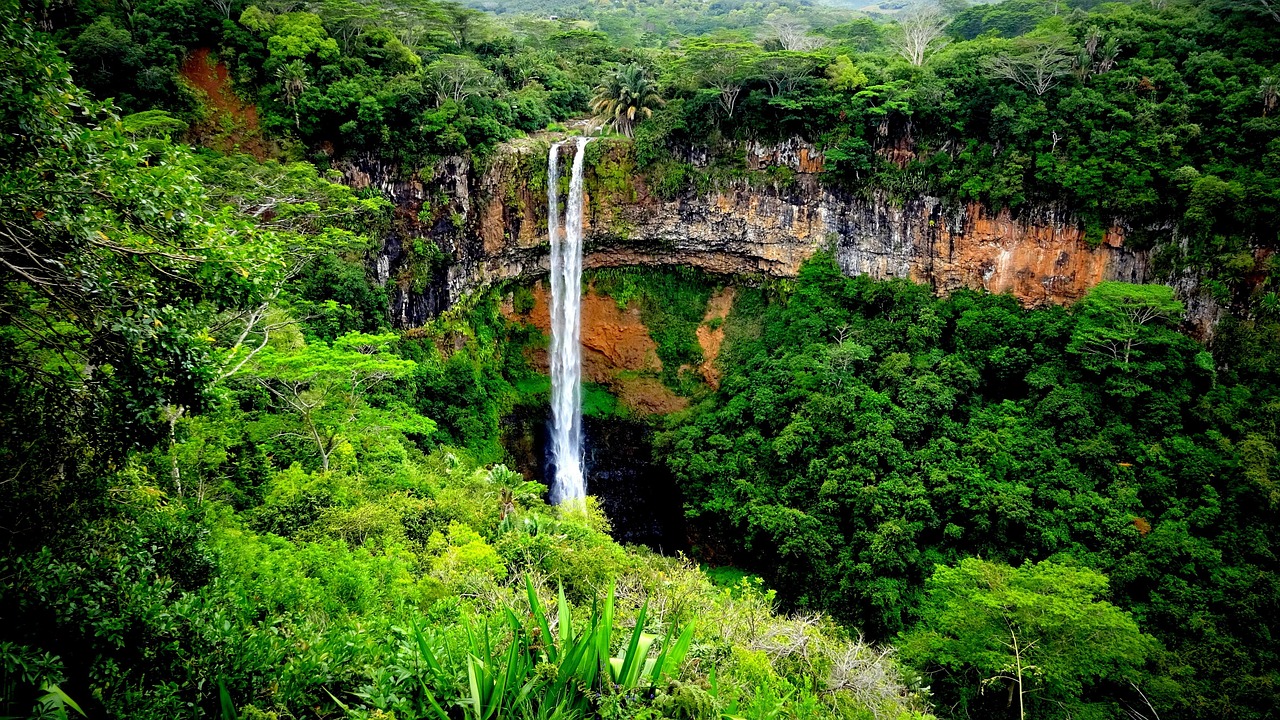 Black River Gorges National Park
