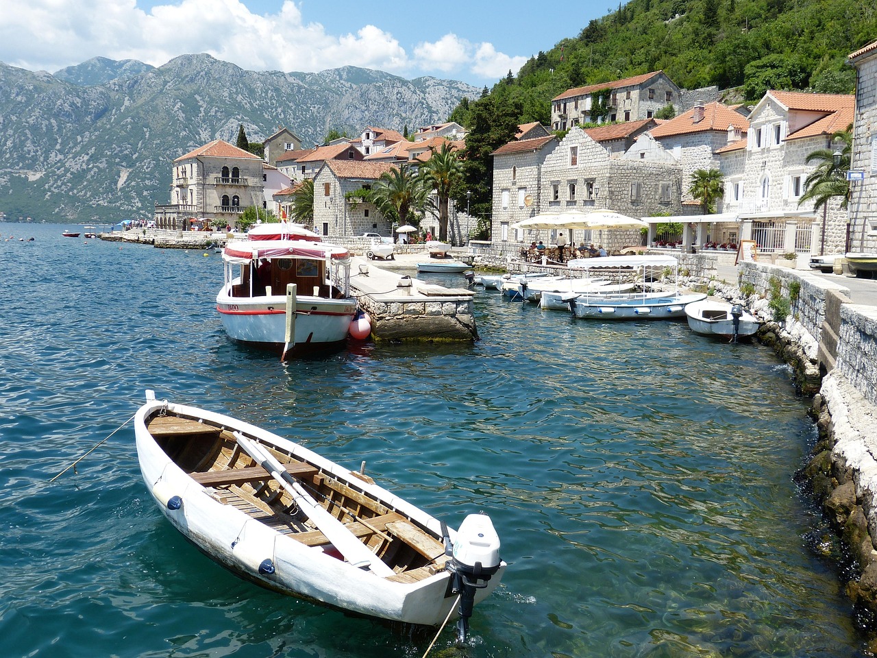 Kotor