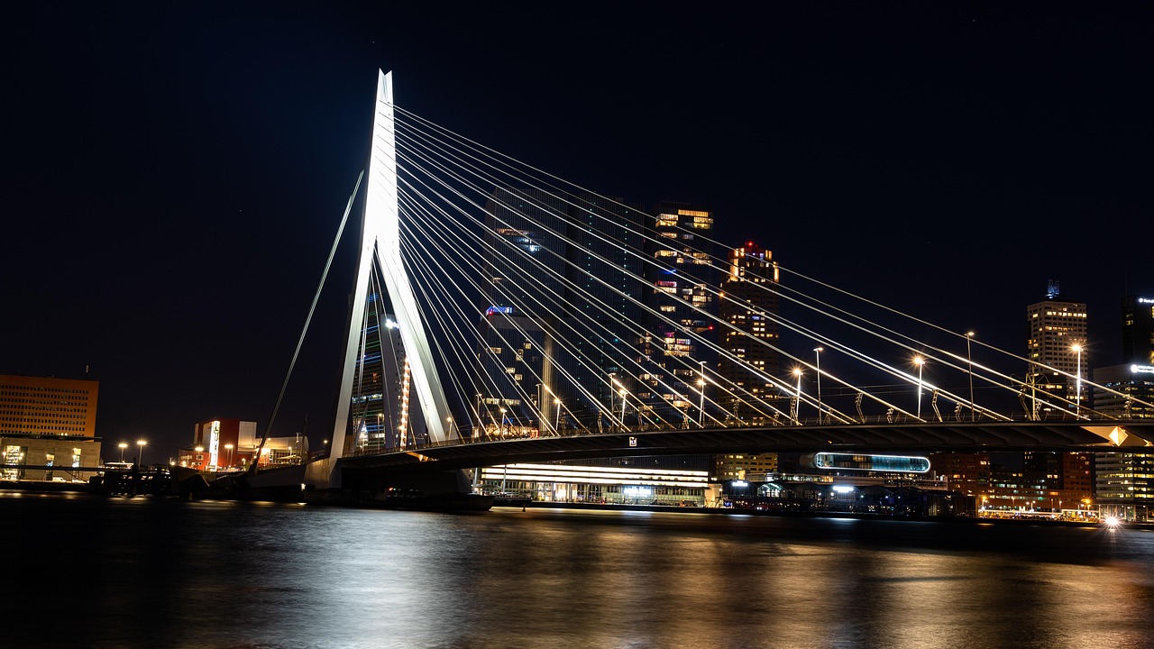 Erasmus Bridge at night in Rotterdam