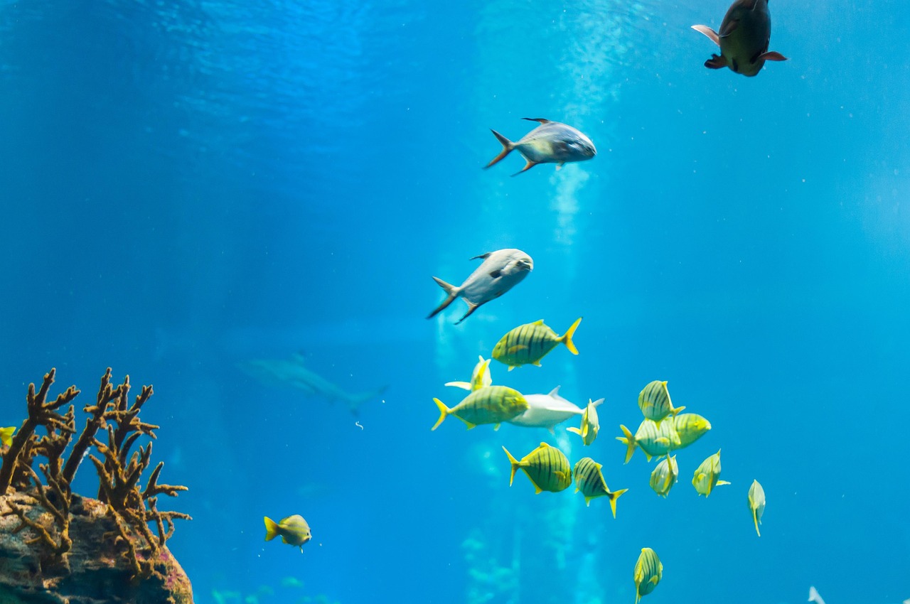 Wroclaw Zoo and Afrykarium