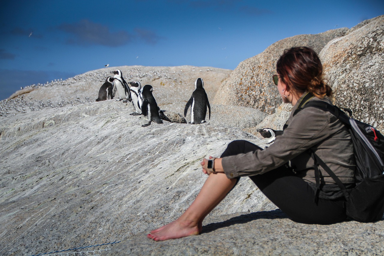 Boulders Beach penguins Cape Town