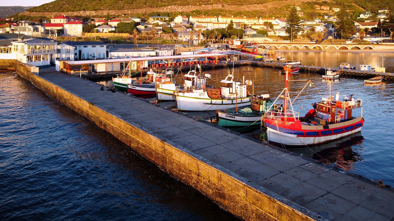 Kalk Bay Harbour near Cape Town