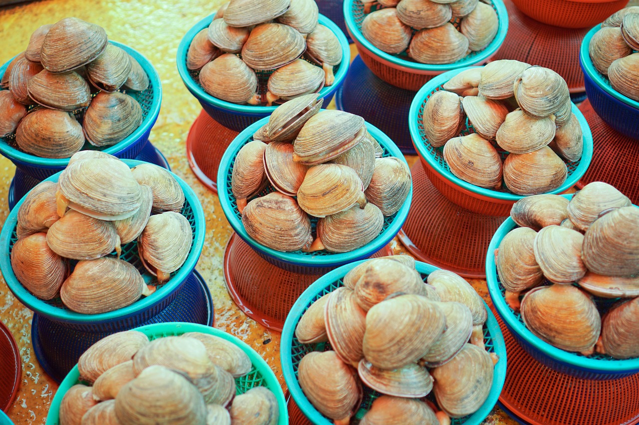 Jagalchi Fish Market Busan