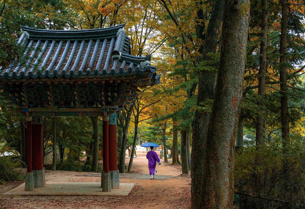 Seoul Forest park in Seoul
