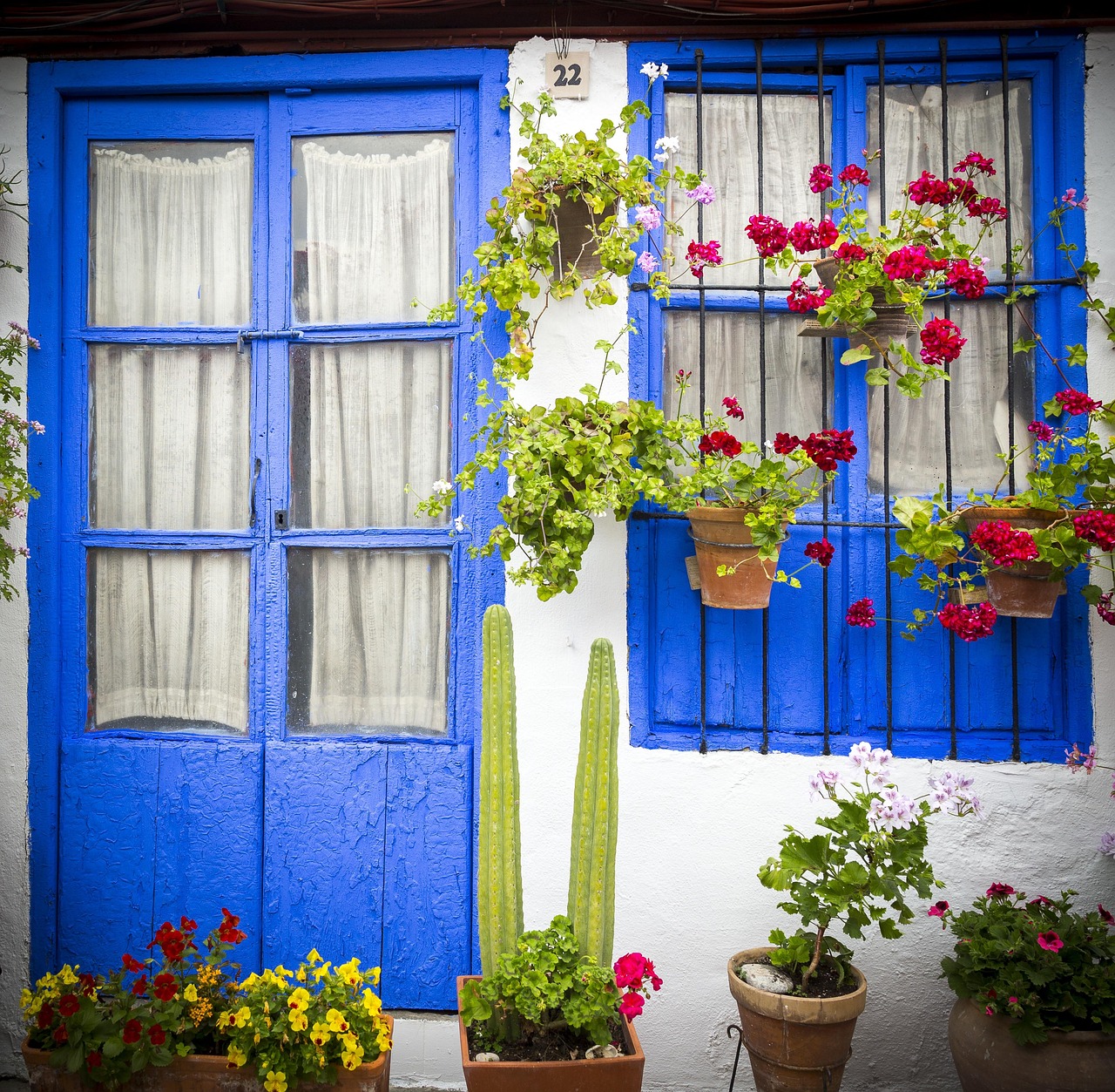 Traditional flower-filled patio in Cordoba