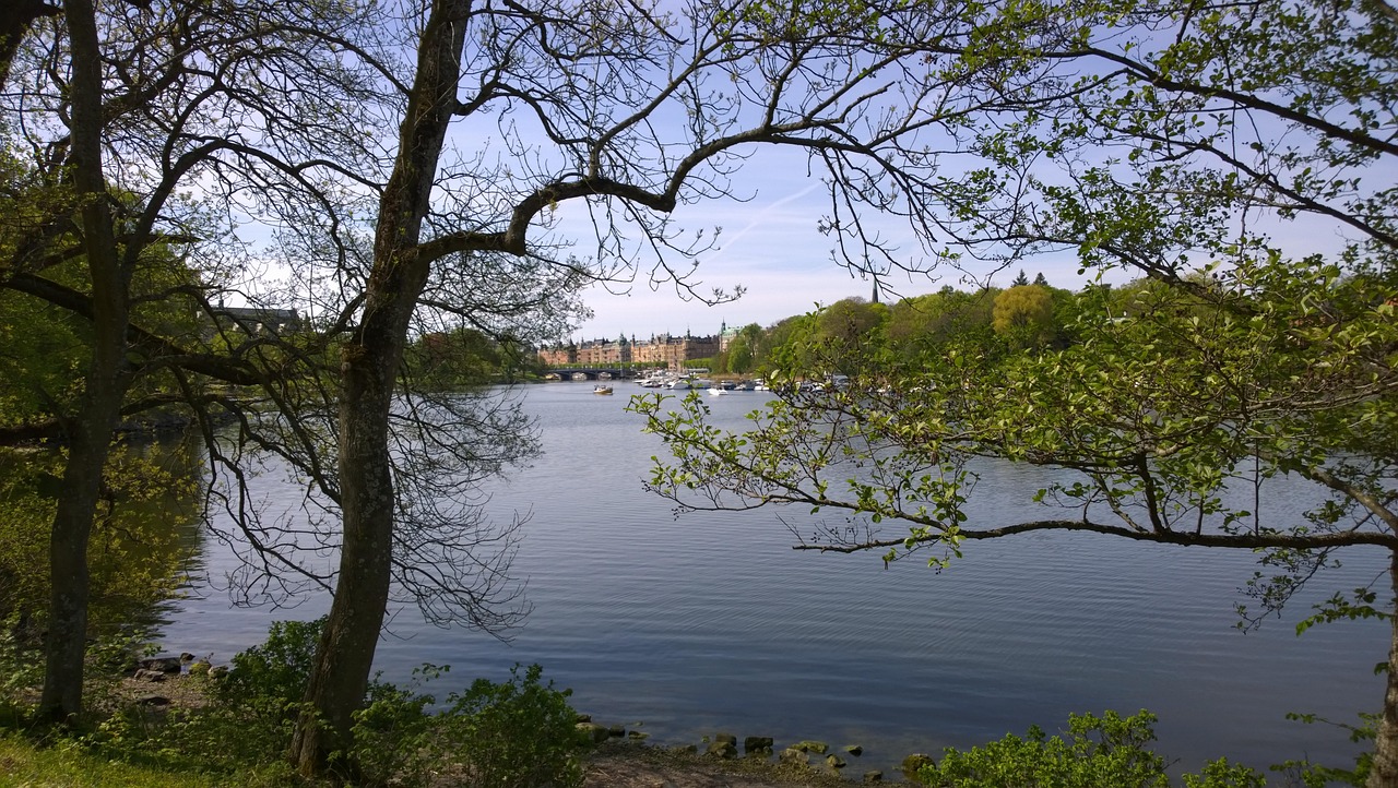 Royal Djurgården park greenery in Stockholm