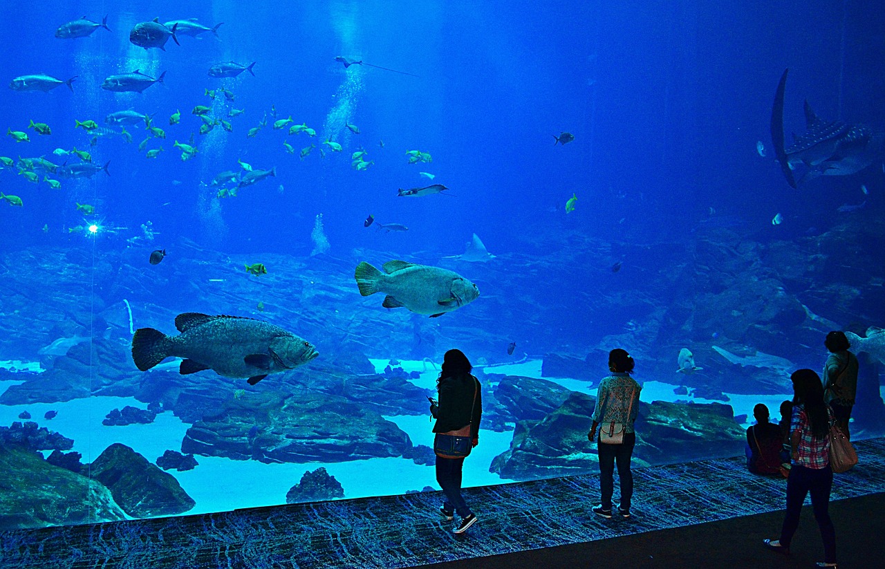 Georgia Aquarium in Atlanta