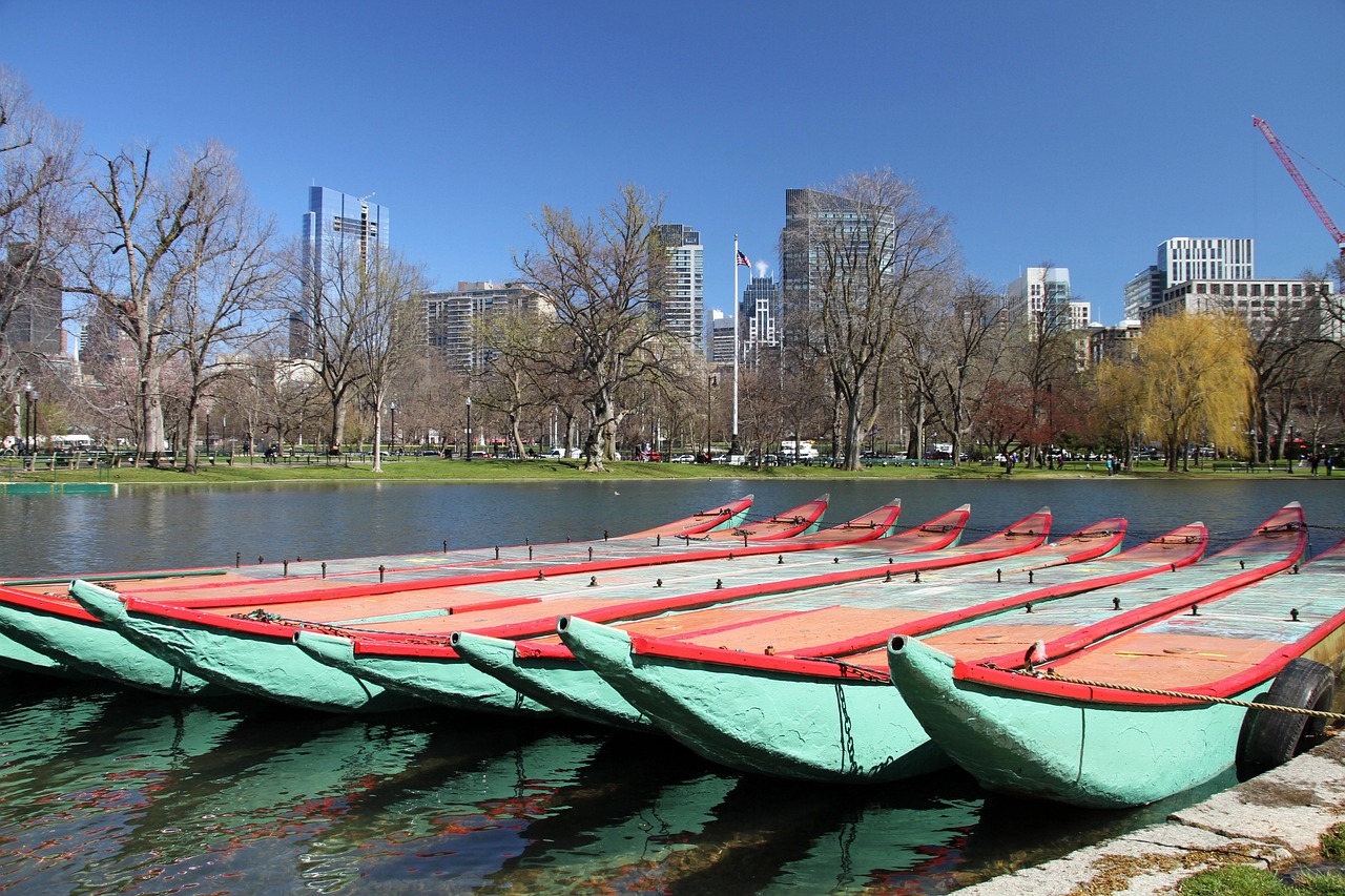 Swan boats in Boston Public Garden
