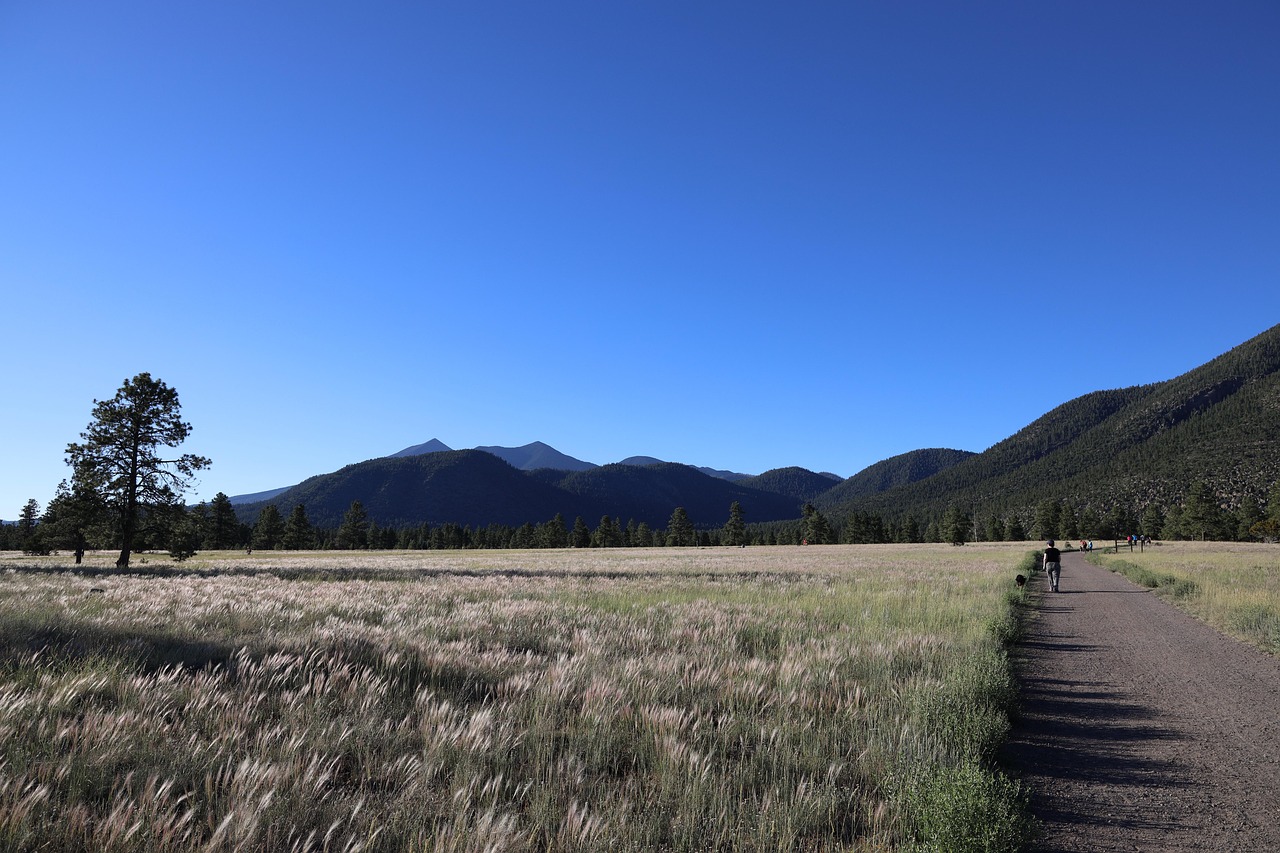 Loop trail and meadows at Buffalo Park in Flagstaff