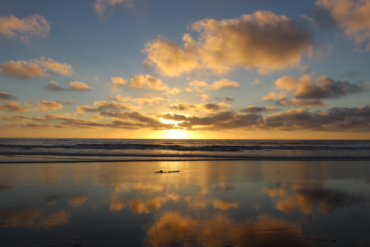 Torrey Pines State Natural Reserve in San Diego