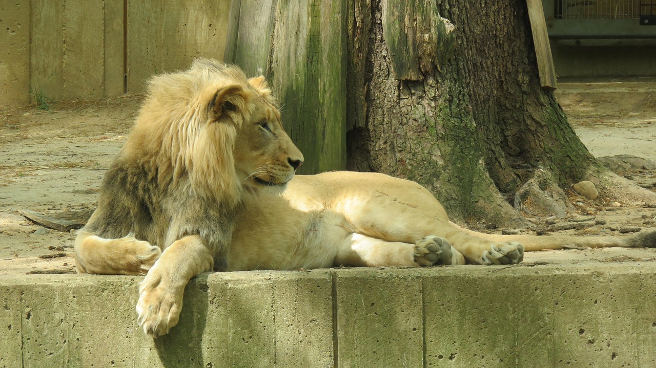 Smithsonian National Zoo in Washington