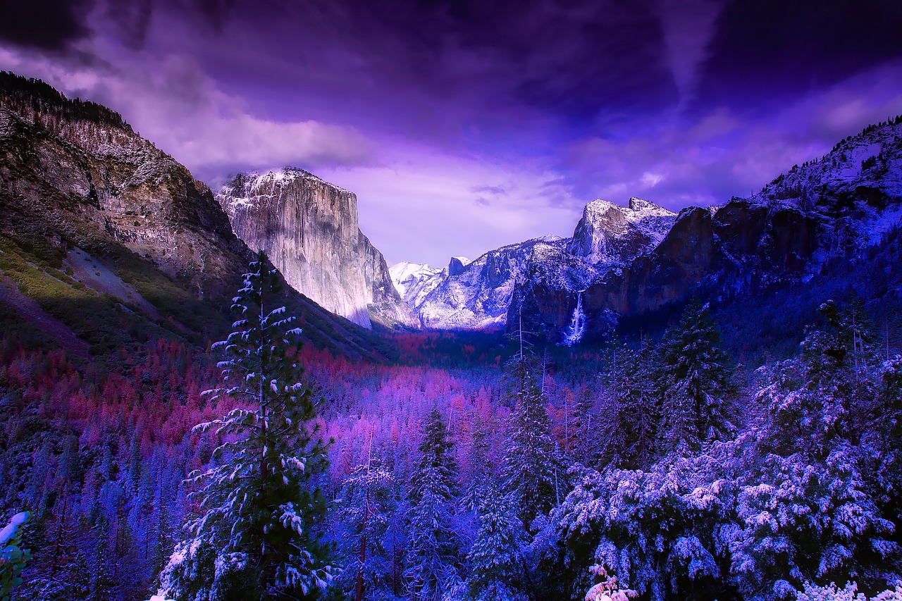 El Capitan granite monolith above meadow